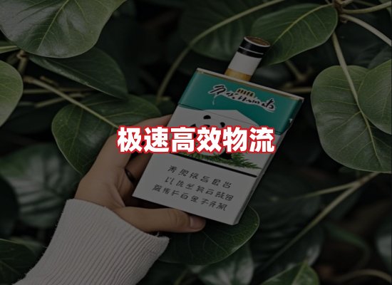 专业团队